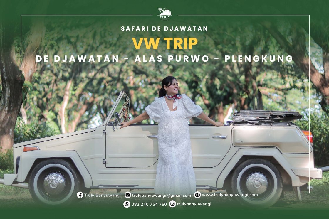 Paket Wisata Banyuwangi - TrulyBanyuwangi | VW Trip De Djawatan TN Alas Purwo Plengkung